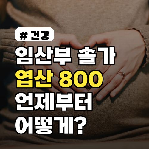 임산부 솔가 엽산 800, 복용 시기와 방법 상세 가이드