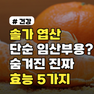 솔가 엽산, 임산부만의 전유물? 숨겨진 진짜 효능 5가지