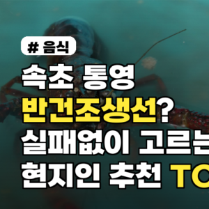 속초, 통영 반건조생선 실패 없이 고르는 현지인 추천 TOP 5