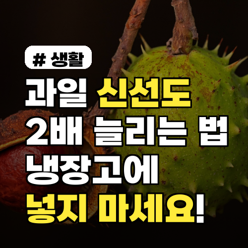 과일 신선도 2배 늘리는 법: 냉장고에 넣지 말아야 할 3가지