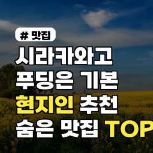 시라카와고 현지인 맛집: 푸딩은 기본! 숨겨진 TOP 5