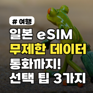 일본 ESIM, 무제한 데이터/통화 현명한 선택 팁 3가지