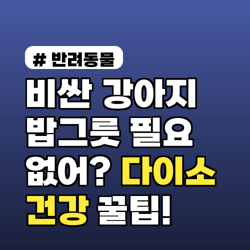 강아지 밥그릇, 비싸게 살 필요 없어요! 다이소템으로 건강 챙기는 꿀팁