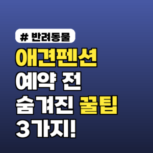애견펜션 예약 전, 숨겨진 꿀팁 3가지!