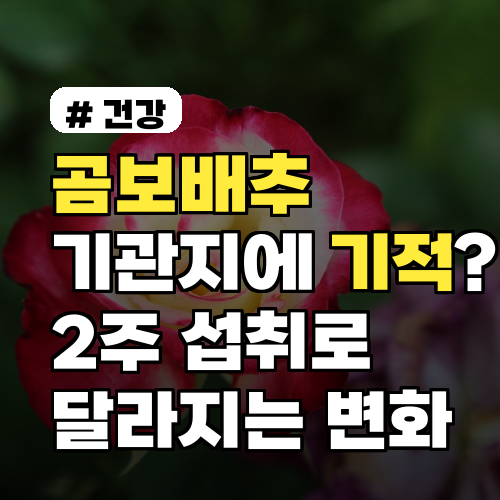 곰보배추, 기관지 건강의 기적! 2주 섭취 변화