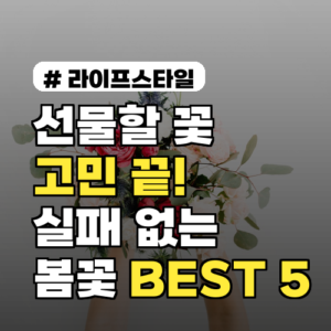 실패 없는 봄꽃 선물! BEST 5 종류 추천