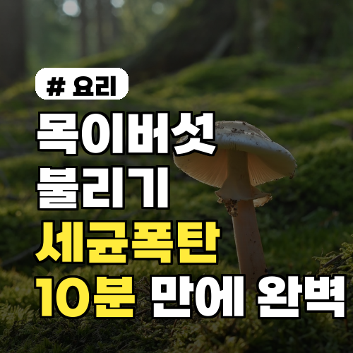 목이버섯 불리기, 세균 걱정 없이 10분 만에 완벽 비법