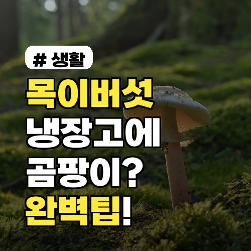 목이버섯 곰팡이 걱정 끝! 냉장고 보관 완벽 팁