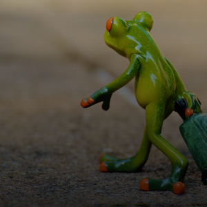 네이버 숙소 예약 최저가 놓치는 3가지 실수와 해결법