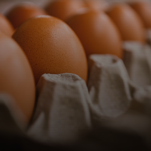 텁텁함 없이 고소함 폭발! 들깨 고사리나물볶음 비법 3가지