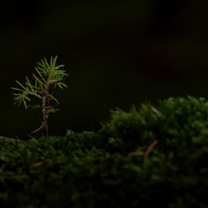 사주팔자, 2026년 자기계발에 활용하는 3가지 방법