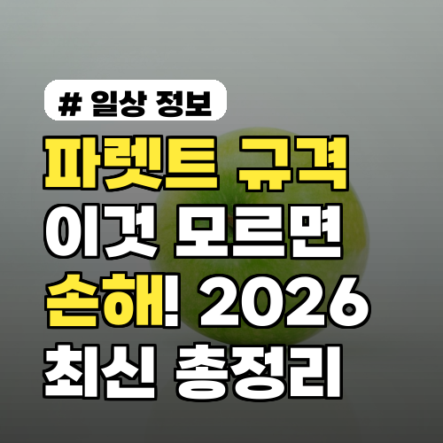 파렛트 규격, 이것 모르면 손해! 2026년 최신 표준 총정리