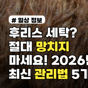 후리스 세탁? 절대 망치지 마세요! 2026년 최신 관리법 5가지