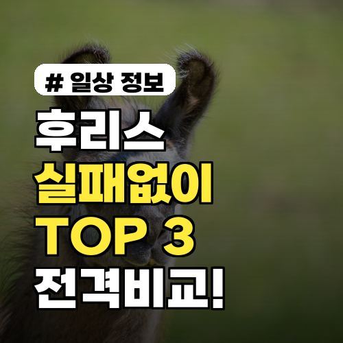 후리스 실패 없이 구매! 파타고니아·유니클로·스파오 TOP 3 비교