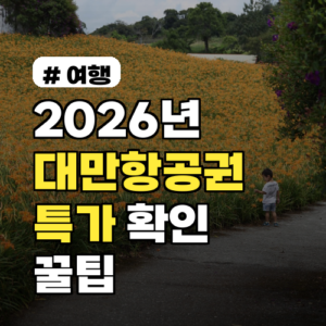 매주 월요일 알림 받으세요! 2026년 대만항공권 특가 실시간 확인 꿀팁