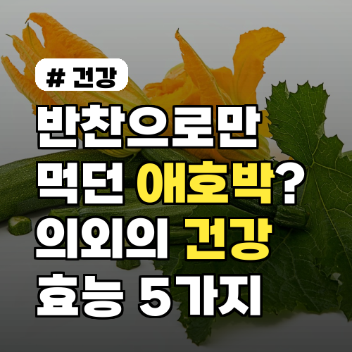 반찬으로만 먹던 애호박볶음? 의외의 건강 효능 5가지