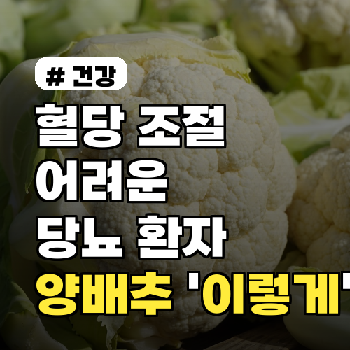 혈당 조절 어려운 당뇨 환자라면? 양배추 ‘이렇게’ 먹으면 혈당 뚝 떨어집니다