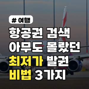 항공권 검색 팁, 아무도 안 알려주는 숨겨진 최저가 발권 비법 3가지