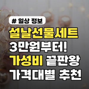 설날선물세트 3만원부터! 가성비 끝판왕 가격대별 추천 리스트