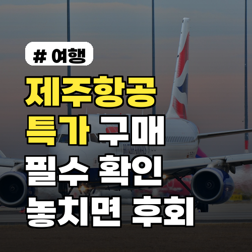 제주항공 특가 구매 전 필수 확인! 놓치면 후회할 3가지