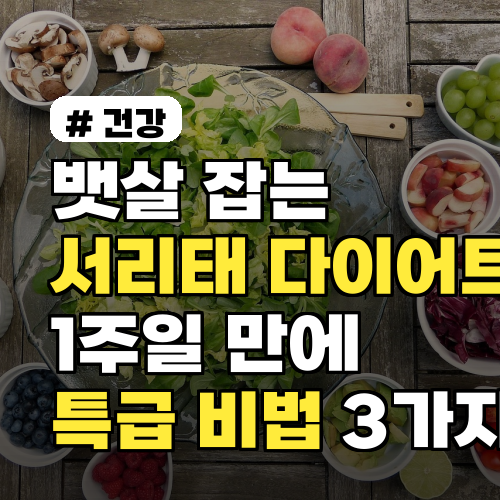 뱃살 잡는 서리태 다이어트! 1주일 만에 효과 보는 특급 비법 3가지