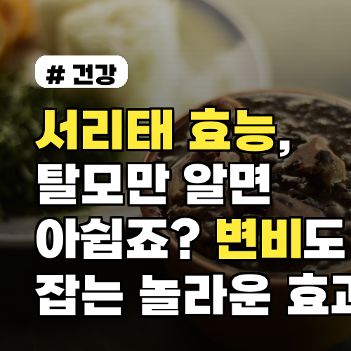 서리태 효능, 탈모만 아세요? 변비도 잡는 놀라운 효과 5가지