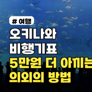 오키나와 비행기표, 성수기에도 5만원 더 아낄 수 있는 의외의 방법