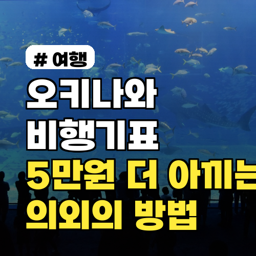 오키나와 비행기표, 성수기에도 5만원 더 아낄 수 있는 의외의 방법