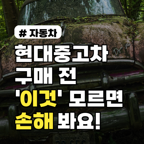 현대중고차사이트 구매 전 '이것' 모르면 손해 보는 5가지