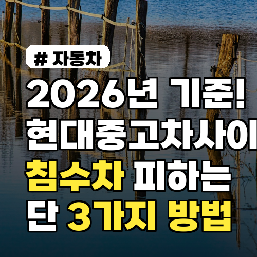2026년 기준! 현대중고차사이트 침수차 피하는 단 3가지 방법