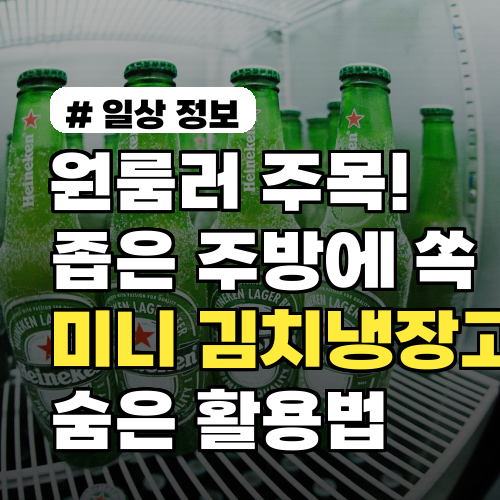 원룸러 주목! 좁은 주방에 쏙 들어가는 미니 김치냉장고 숨은 활용법