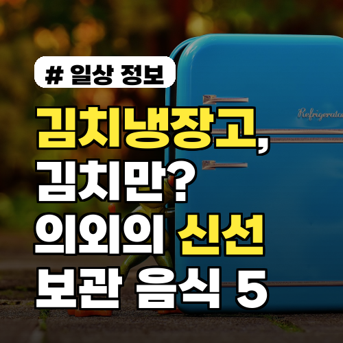 김치냉장고가 김치만? 의외로 신선하게 보관되는 이 음식 5가지