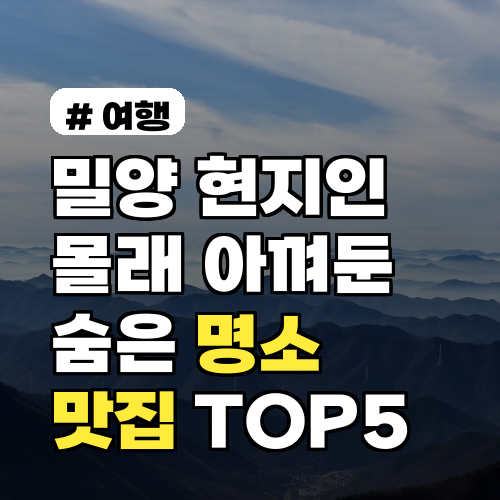 밀양 현지인이 몰래 아껴둔 숨은 명소와 맛집 TOP 5