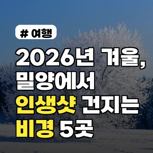 2026년 겨울, 밀양에서 인생샷 건지는 비경 5곳