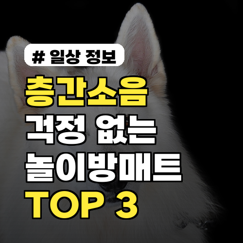 층간소음 걱정 없는 부모 필독! 효과 좋은 놀이방매트 TOP 3