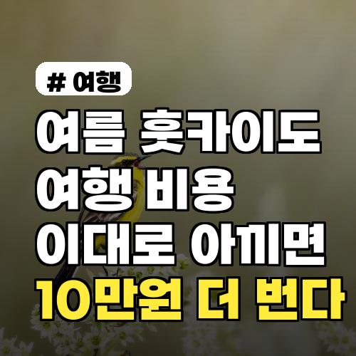 여름 훗카이도 여행 비용, 이대로 아끼면 10만원 더 번다