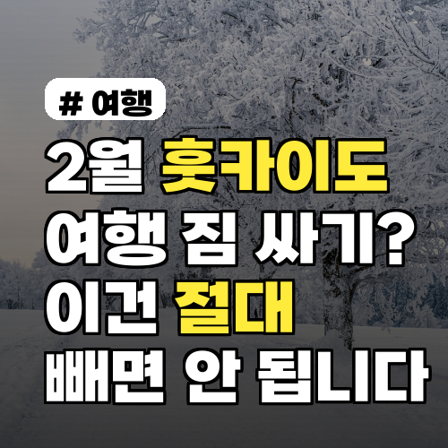 2월 훗카이도 여행 짐 싸기? 이건 절대 빼면 안 됩니다