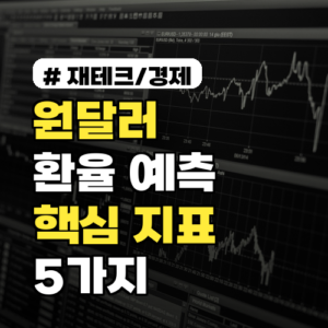 원달러환율 예측, 투자 전문가들이 주목하는 핵심 지표 5가지