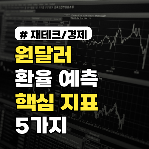 원달러환율 예측, 투자 전문가들이 주목하는 핵심 지표 5가지