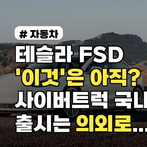 테슬라 FSD '이것'은 아직? 사이버트럭 국내 출시는 의외로...