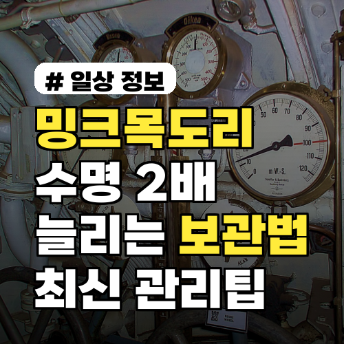 밍크목도리 수명 2배 늘리는 보관법? 2026년 최신 관리팁!