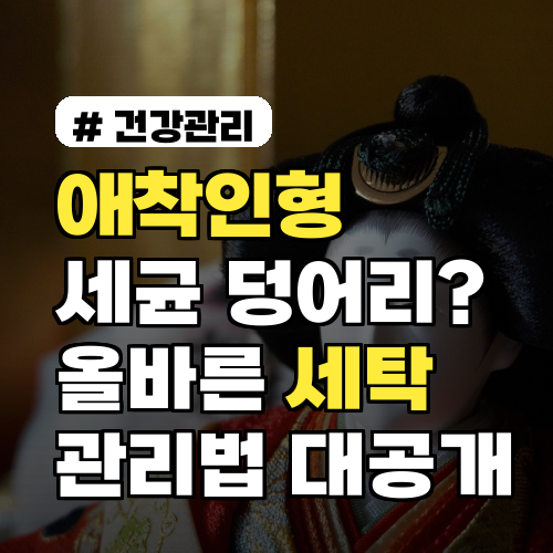 애착인형 세균 덩어리 된다? 올바른 세탁 관리법 대공개!