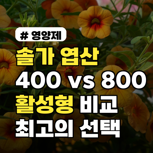 솔가 엽산 400 800 활성형 전격 비교! 나에게 맞는 선택법