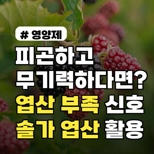 피곤하고 무기력하다면? 엽산 부족 신호 3가지와 솔가 엽산 활용법