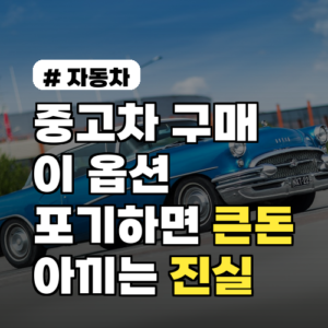 중고차 구매 시 ‘이 옵션’ 포기하면 큰돈 아낍니다? 의외의 진실