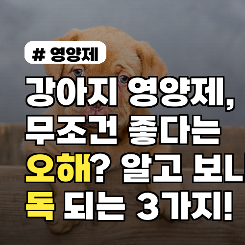 강아지 영양제, 무조건 좋다는 오해? 알고 보니 독 되는 3가지