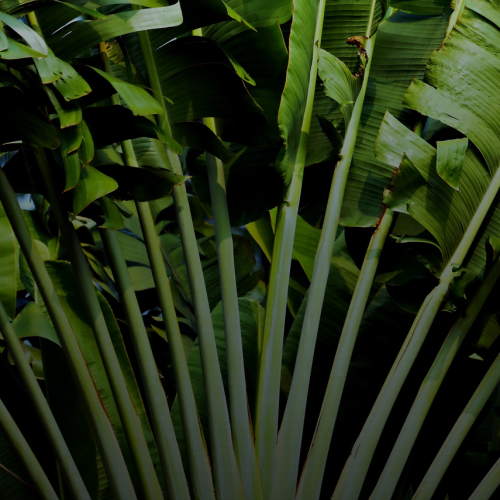 발리 말고도 갈 곳 많다? 의외의 인도네시아 여행지 TOP 5