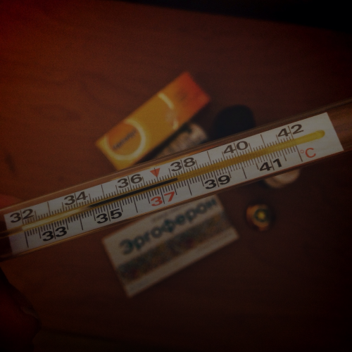 2026년 요즘 독감 증상: 성인에게 자주 나타나는 설사까지?