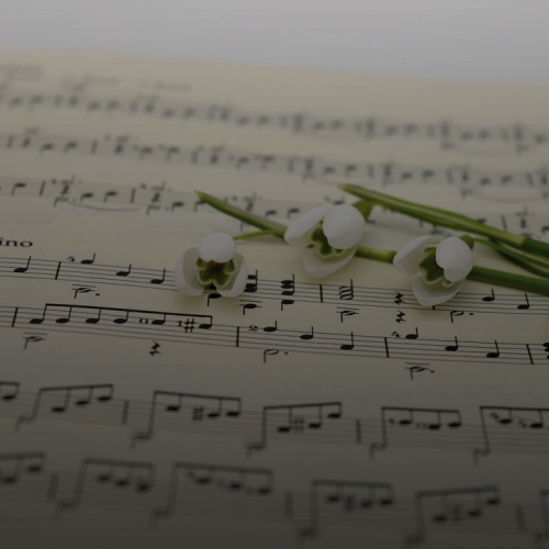 멜론 100원? 싸다고 덥석 구매하면 후회하는 이유 3가지