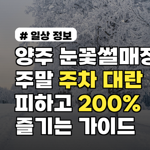 양주눈꽃썰매장 주말 방문? 주차 대란 피하고 200% 즐기는 완벽 가이드